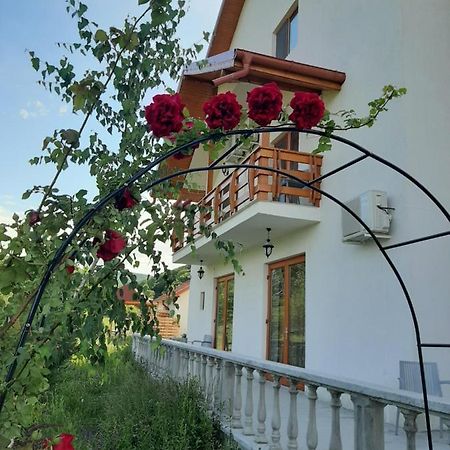 Pensiunea Agroturistica Green Odoba Sătuc Dış mekan fotoğraf