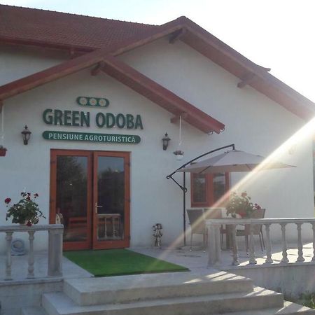Pensiunea Agroturistica Green Odoba Sătuc Dış mekan fotoğraf