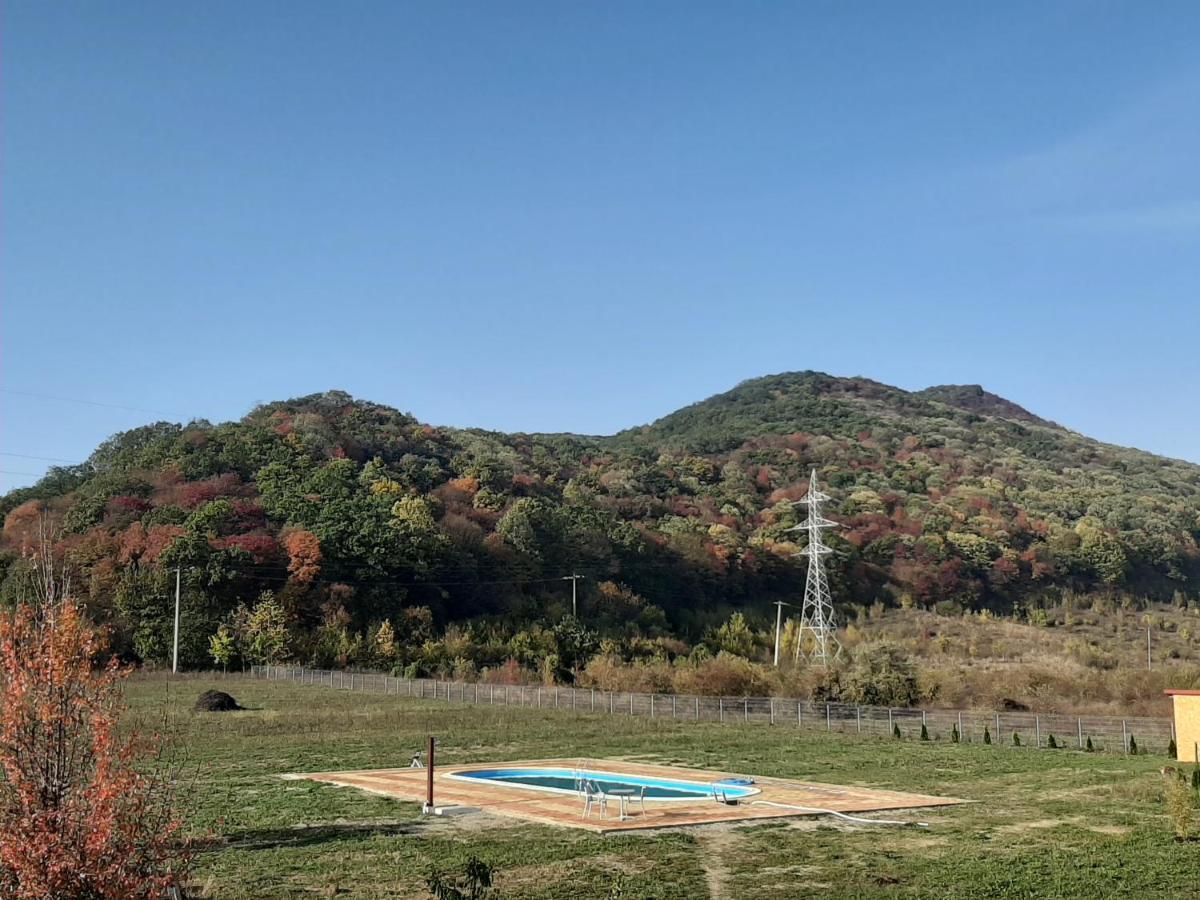 Pensiunea Agroturistica Green Odoba Sătuc Dış mekan fotoğraf