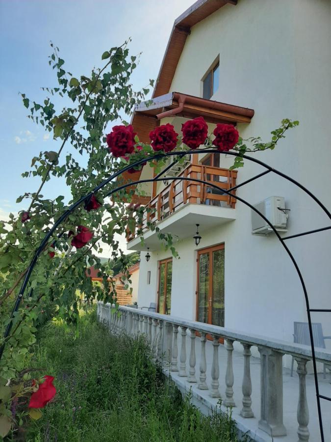 Pensiunea Agroturistica Green Odoba Sătuc Dış mekan fotoğraf