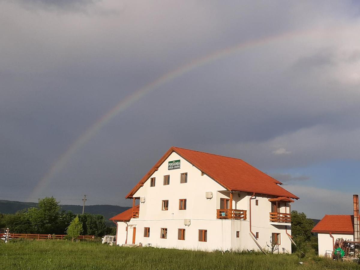 Pensiunea Agroturistica Green Odoba Sătuc Dış mekan fotoğraf