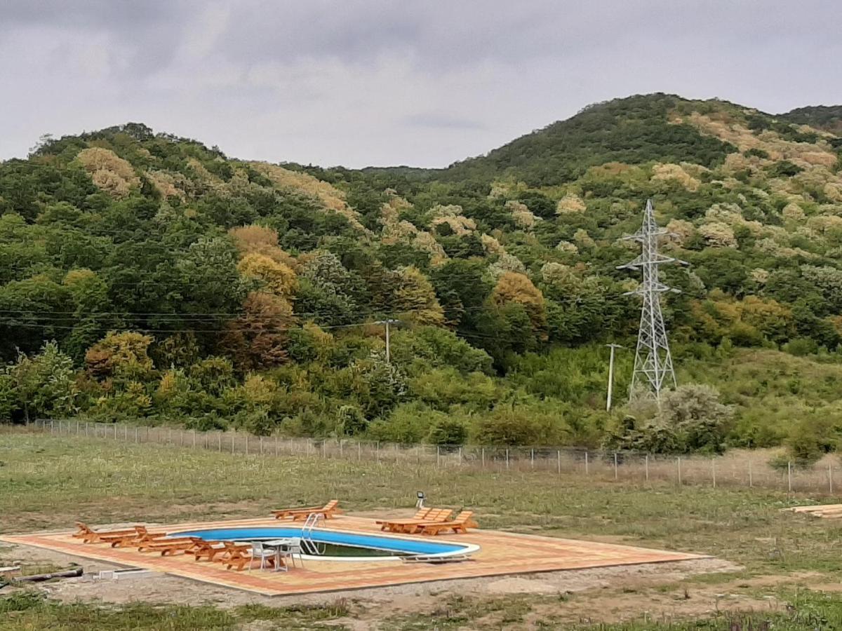 Pensiunea Agroturistica Green Odoba Sătuc Dış mekan fotoğraf
