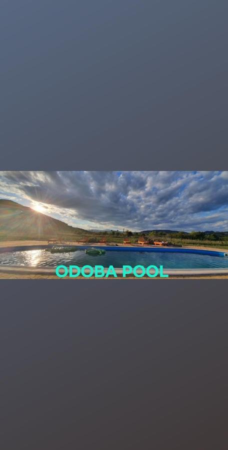 Pensiunea Agroturistica Green Odoba Sătuc Dış mekan fotoğraf