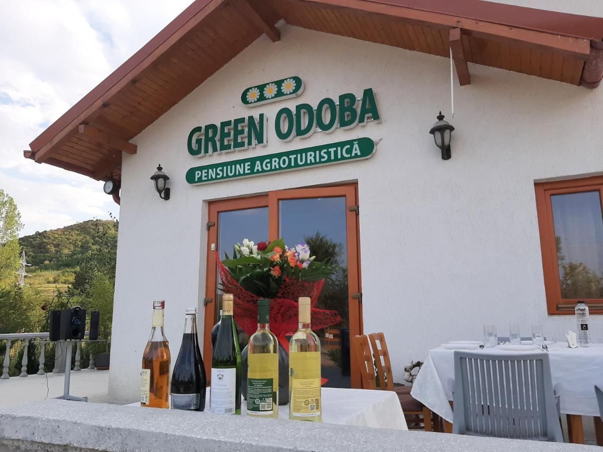 Pensiunea Agroturistica Green Odoba Sătuc Dış mekan fotoğraf