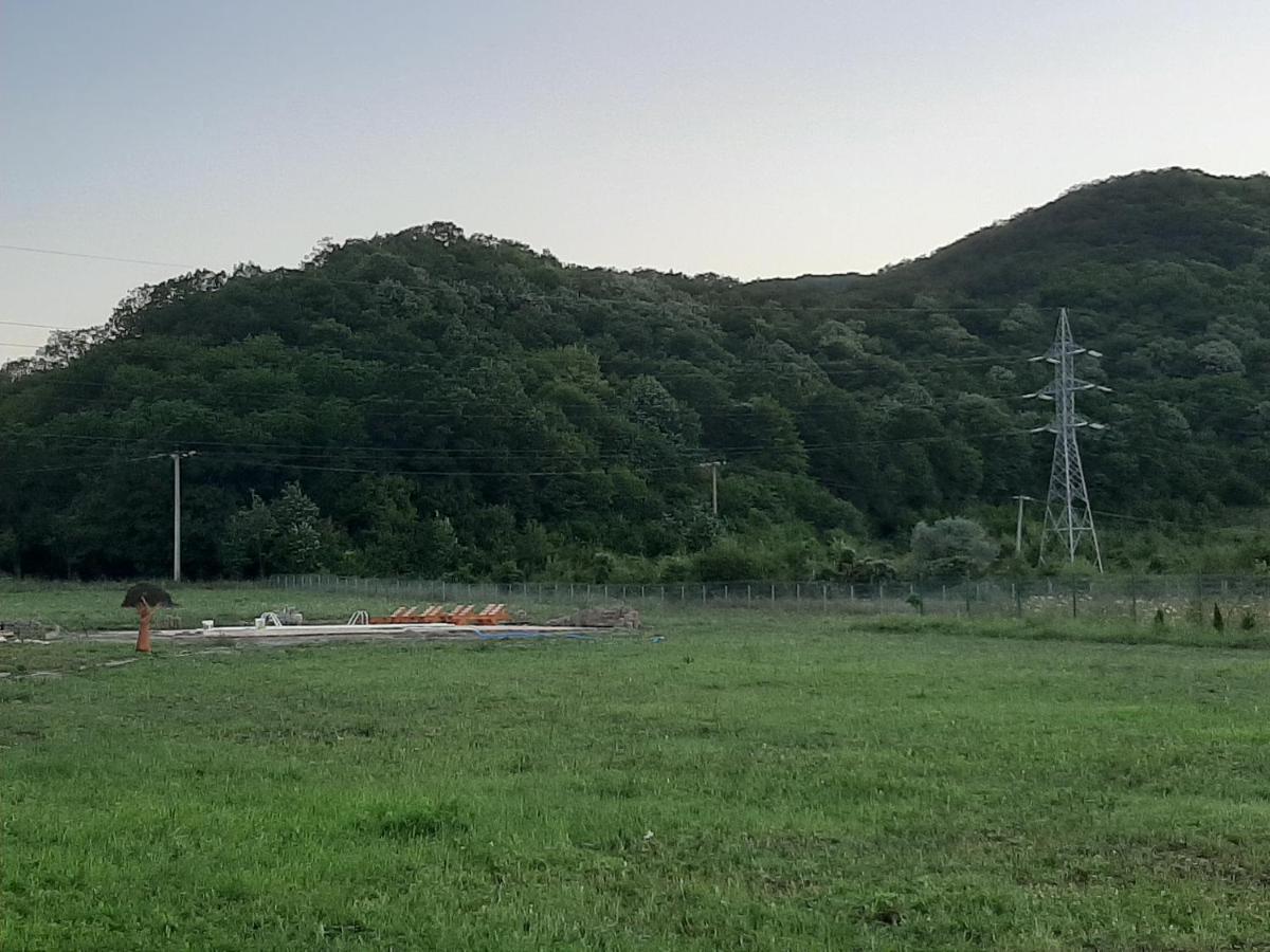 Pensiunea Agroturistica Green Odoba Sătuc Dış mekan fotoğraf