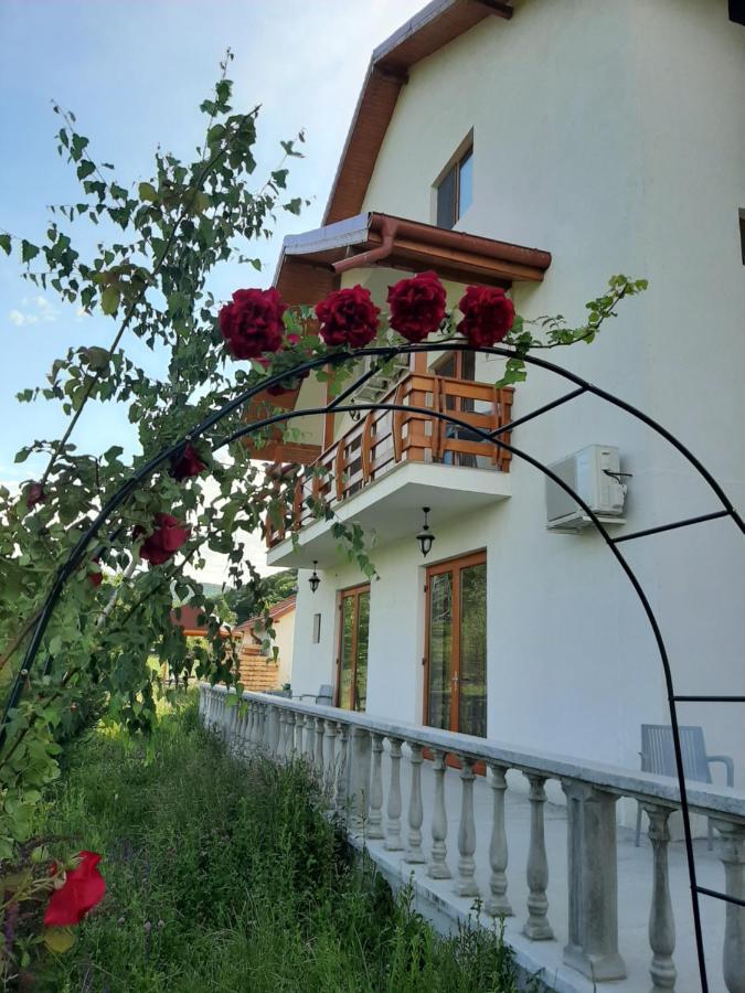 Pensiunea Agroturistica Green Odoba Sătuc Dış mekan fotoğraf