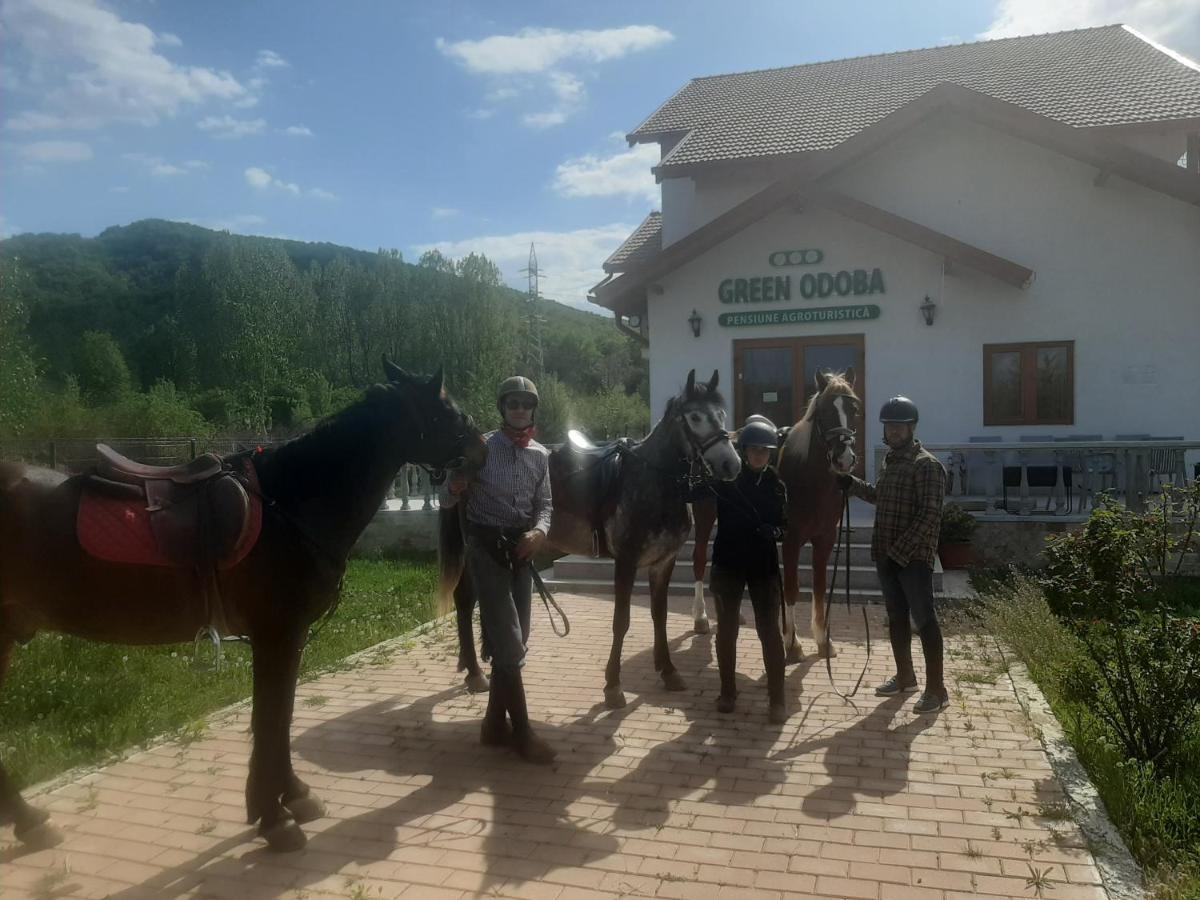 Pensiunea Agroturistica Green Odoba Sătuc Dış mekan fotoğraf