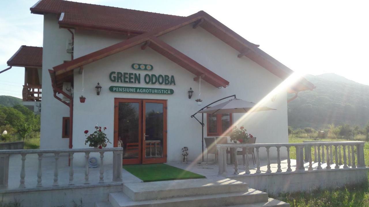 Pensiunea Agroturistica Green Odoba Sătuc Dış mekan fotoğraf