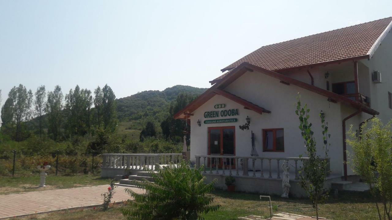 Pensiunea Agroturistica Green Odoba Sătuc Dış mekan fotoğraf